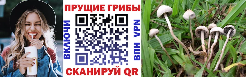 Галлюциногенные грибы GOLDEN TEACHER  Купить где  Верхняя Тура 